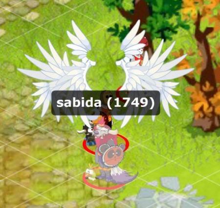 sadidas lvl 151